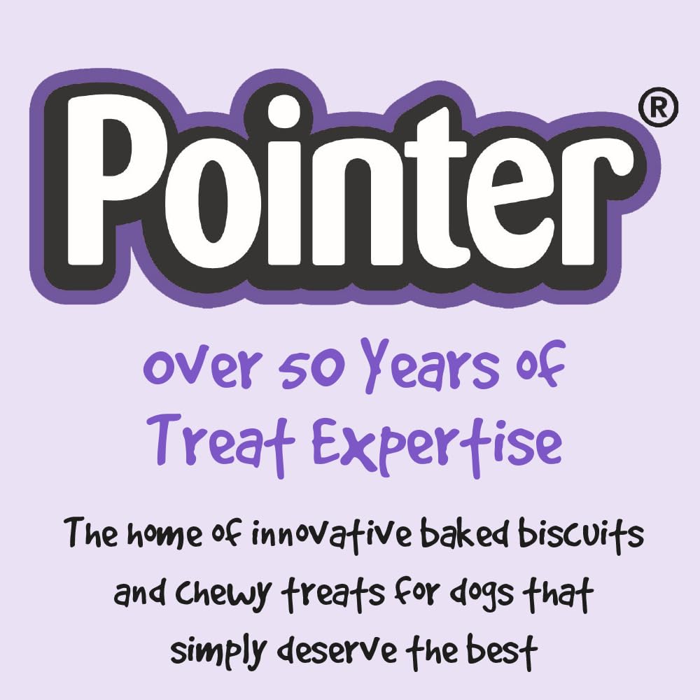 Pointer Pet Products - Christmas Advent Calendar, Tasty Carob and Cheese Flavoured Assorted Bones - Made in Britain, No Added Artificial Flavours, Naturally Oven Baked Dog Treats 1 x 325g