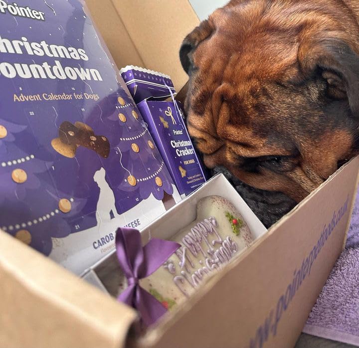 Pointer Pet Products - Christmas Advent Calendar, Tasty Carob and Cheese Flavoured Assorted Bones - Made in Britain, No Added Artificial Flavours, Naturally Oven Baked Dog Treats 1 x 325g
