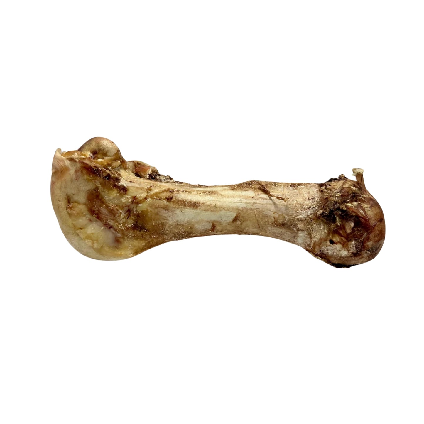 Giant Dino Ostrich Bones For Dogs. Mr Darcys Dog Bones natural long lasting Treats Hypoallergenic Raw Safer Lower Splinter Risk, Low Fat