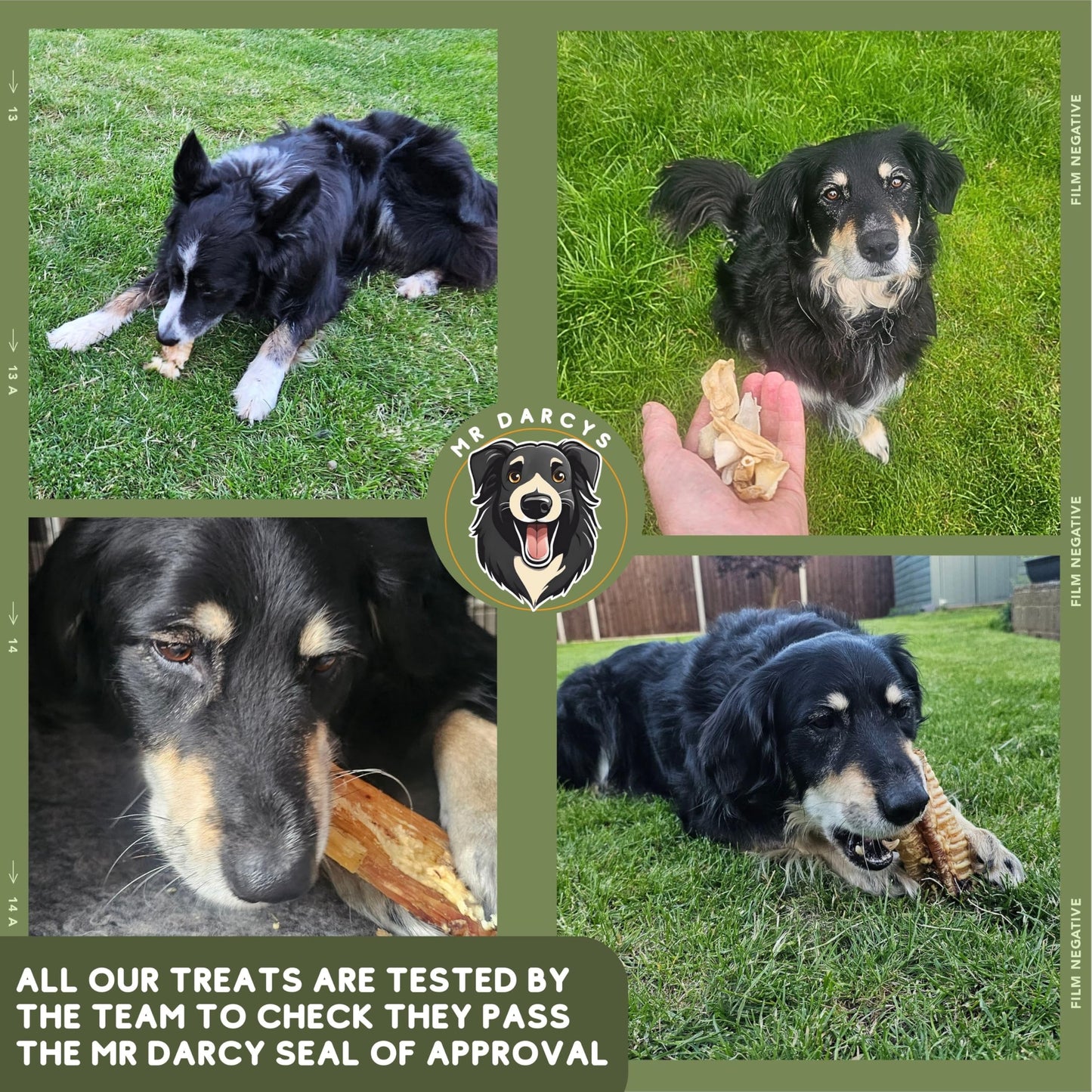 Yak Chews for Dogs, Rabbit Ears with Fur, Long Lasting Natural Dog Chew Bundle Mr Darcys Dog Treat Box with Beef Knuckle Bones and Trachea Gullet