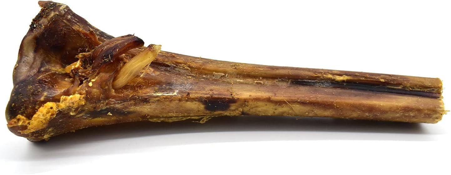 Ostrich Metatarsus Bone Natural Dog Chew (1)