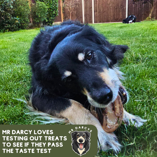 Natural Dog Treats with Rabbit Ears with Fur for Dogs, Chicken Feet Treats, Pigs Ears for Dogs and Beef Trachea for Dogs Natural Dog Chews. Mr Darcys 21 Rawhide Free Dog Chews in Smell Proof Bag