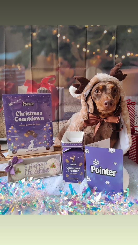 Pointer Pet Products - Christmas Advent Calendar, Tasty Carob and Cheese Flavoured Assorted Bones - Made in Britain, No Added Artificial Flavours, Naturally Oven Baked Dog Treats 1 x 325g