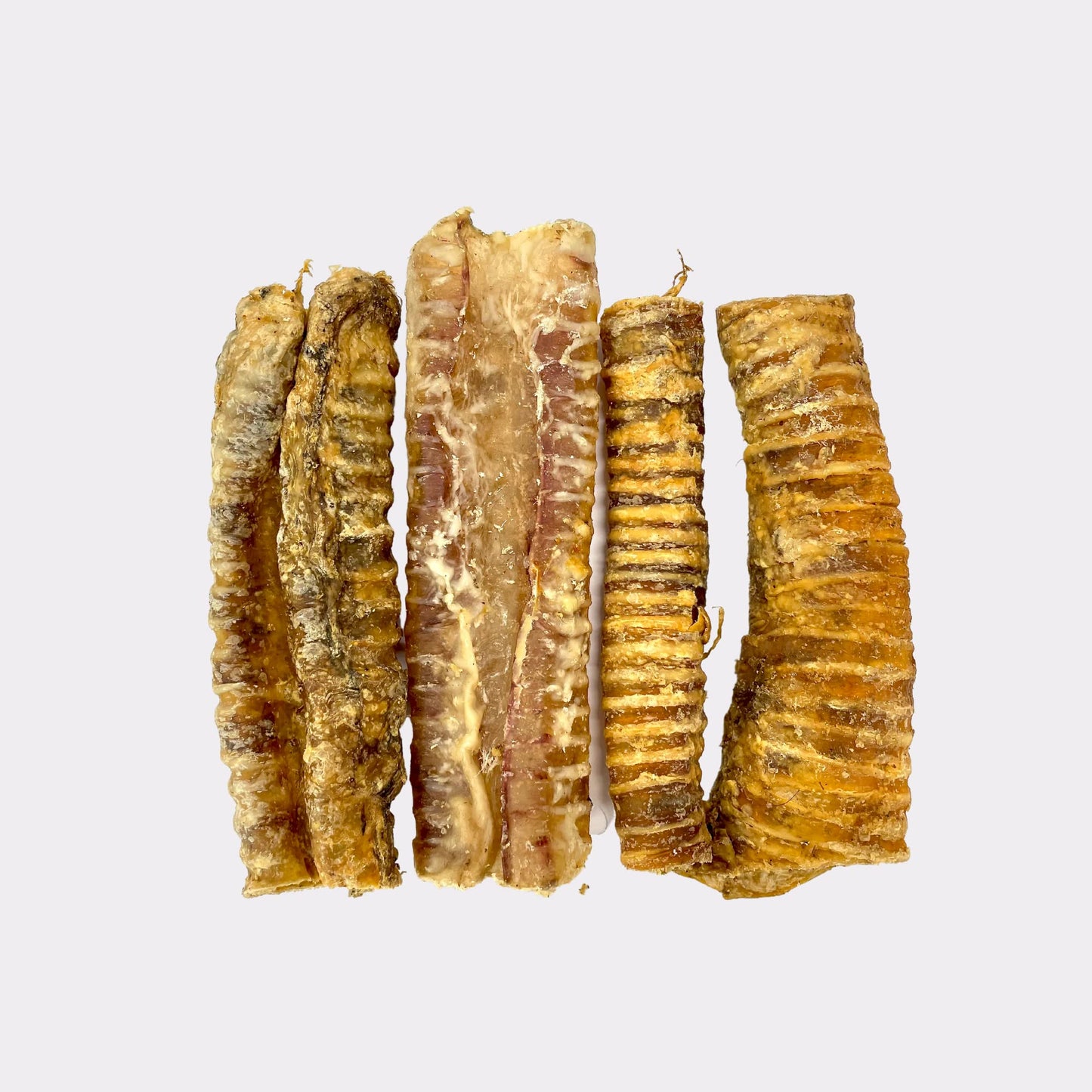 Natural Healthy Dog Chew Treat Box.Raw Long Lasting Dog Chews. Grain Free. Rabbit Ears, Trachea, Bulls Pizzle, Cow Hooves,Pigs Ears, Chickens Feet, Beef Spleens, Beef Spaghetti, Gourmet Sausages