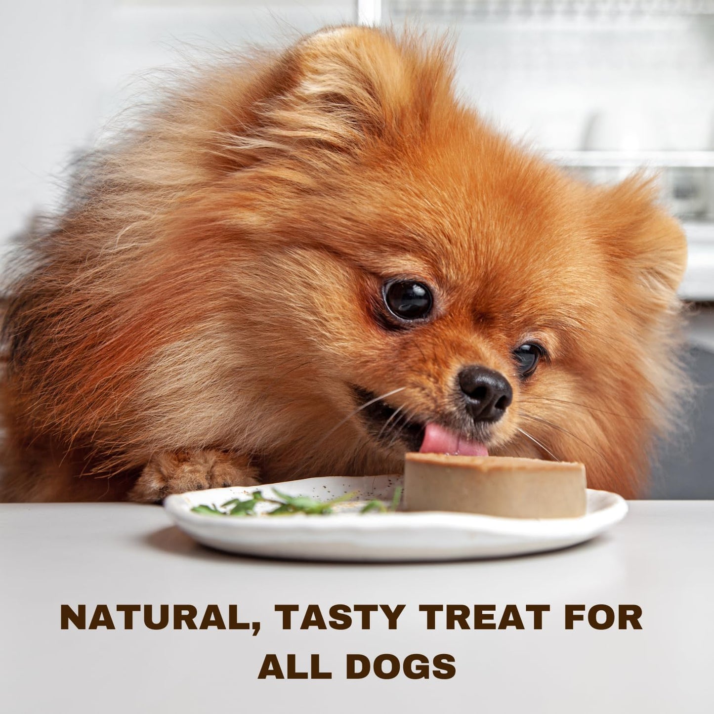Paddock Farm - Dog Food Ostrich Pate Tube Pack Of 3x 400g. Single Protein Wet Dog Food Pate For Dogs. High Meat Content Treat Pet Food For Adult Dogs